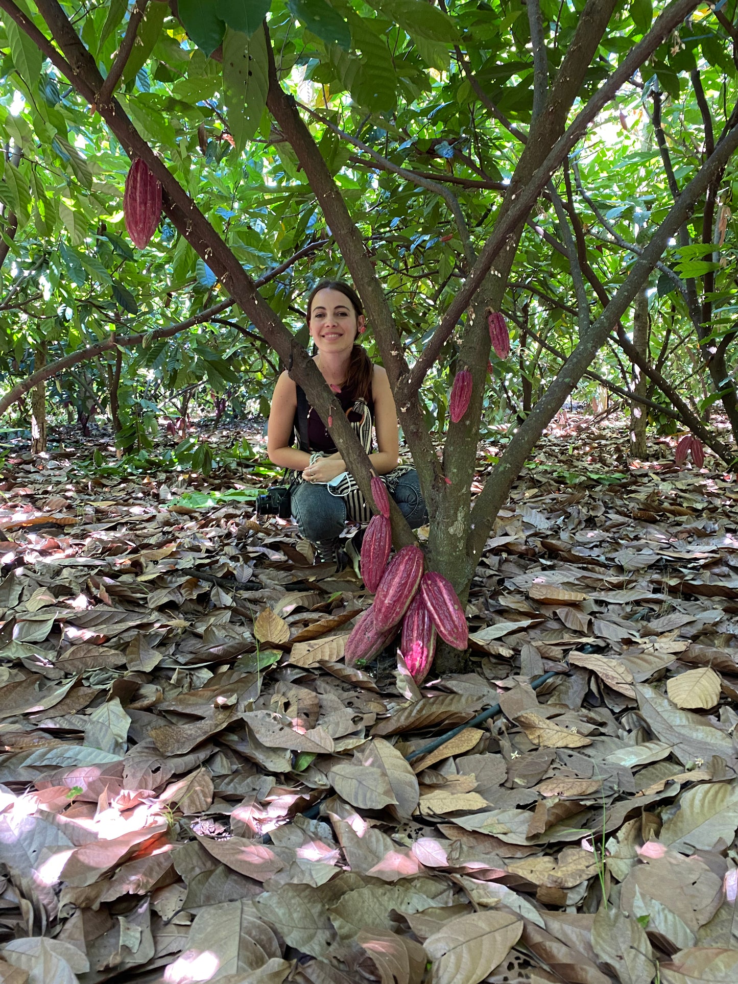 Ceremonial Cacao Atehuán - El Salvador