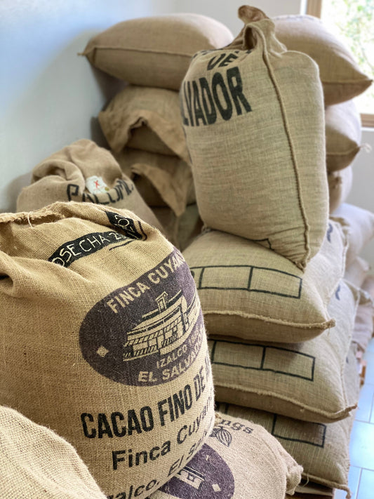 🚩 Le nostre red flags. Le domande da fare durante una Cerimonia con il Cacao