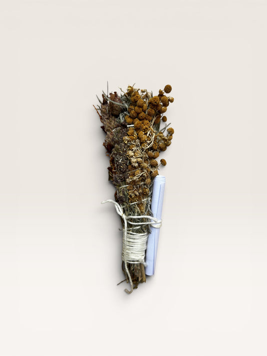 · Smudge · Haz botánico silvestre de Cerdeña Mediterráneo