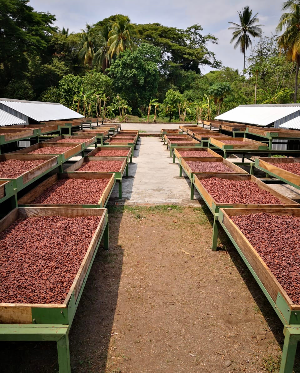 Ceremonial Cacao Lenca - El Salvador