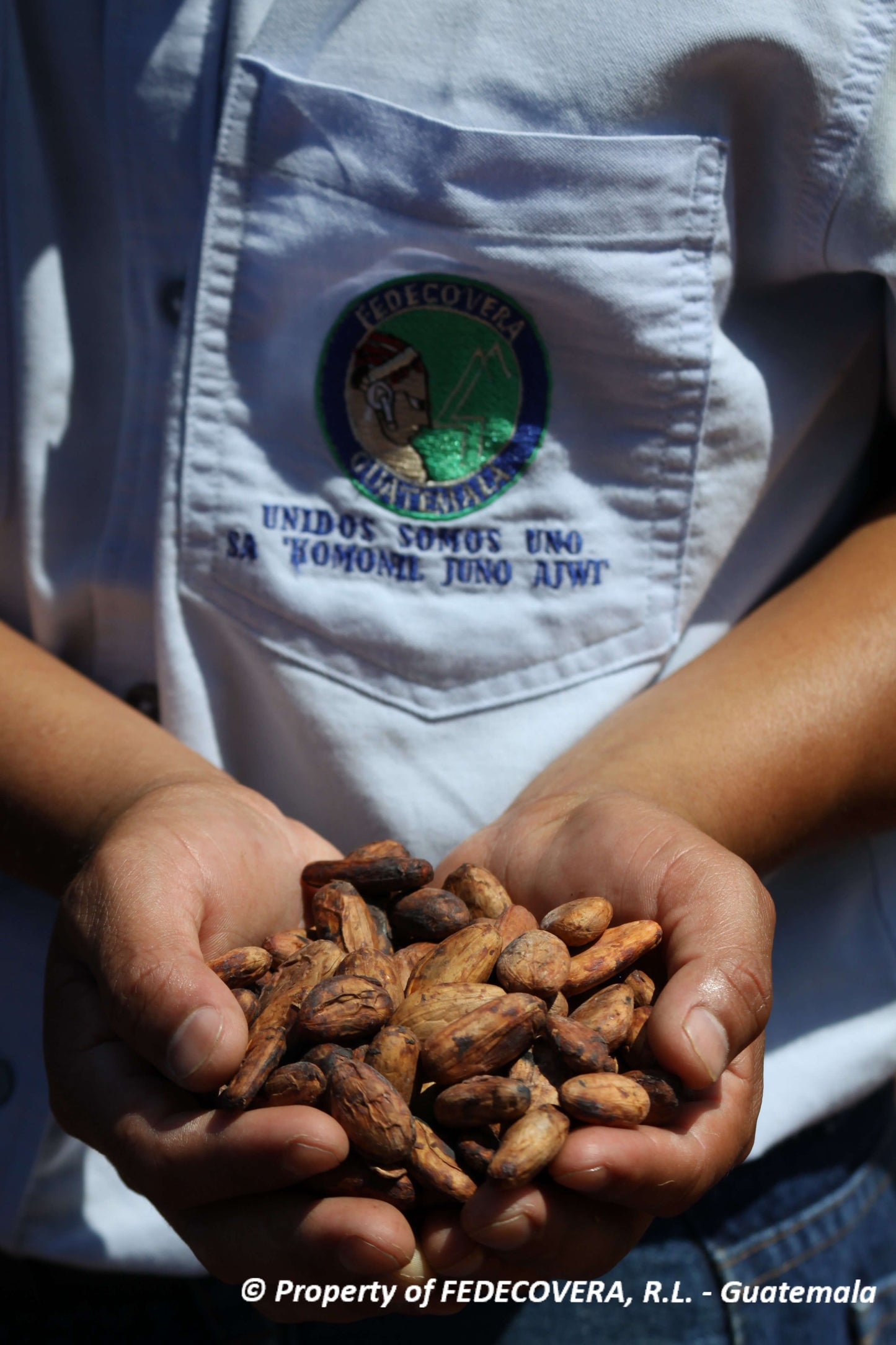 CEREMONIAL CACAO, Q'EQCHI' · GUATEMALA