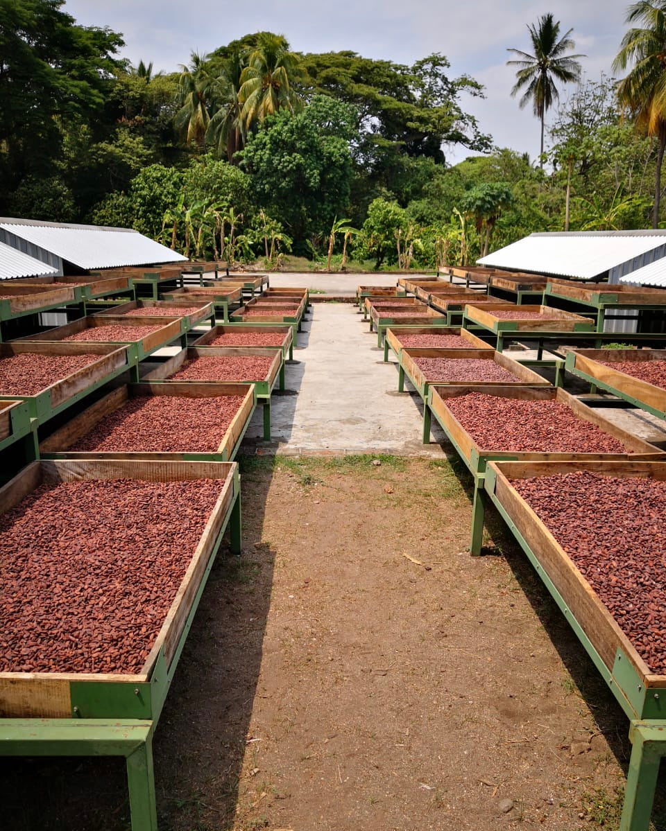 Cioccolato 80% · Lenca, El Salvador + Fleur de Sel raccolto in Sardegna